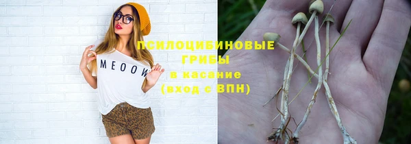 прущие грибы Ельня