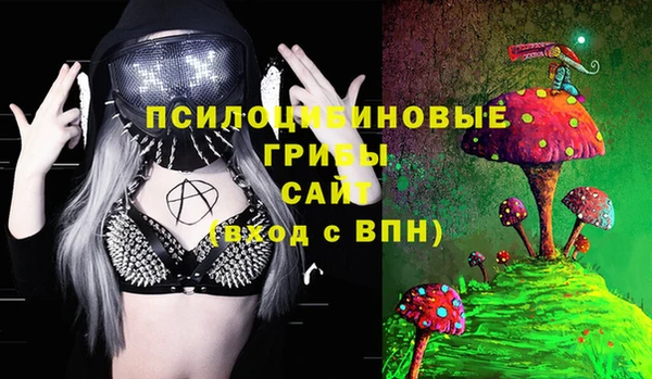 соль курить ск Заводоуковск