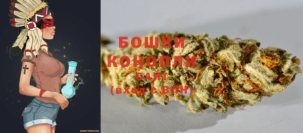 соль курить ск Заводоуковск