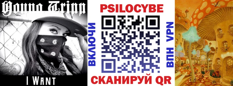дарнет шоп  Сенгилей  Галлюциногенные грибы Psilocybine cubensis 