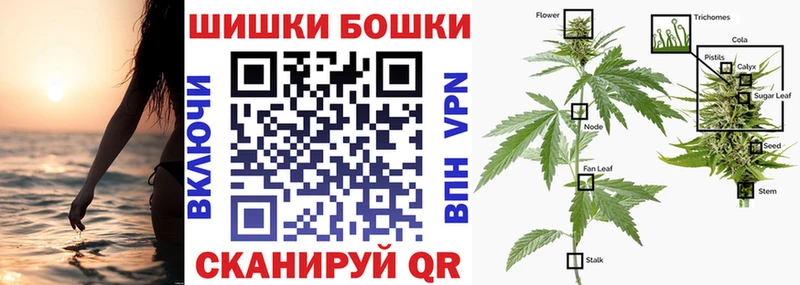 Бошки Шишки OG Kush  как найти наркотики  мега tor  Сенгилей 